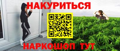стафф Будённовск