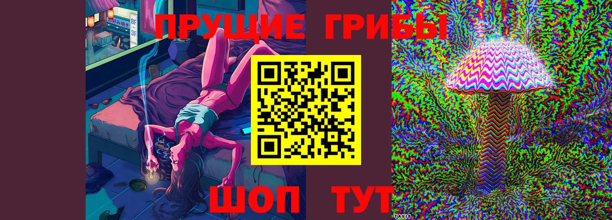 Псилоцибиновые грибы MAGIC MUSHROOMS Печора