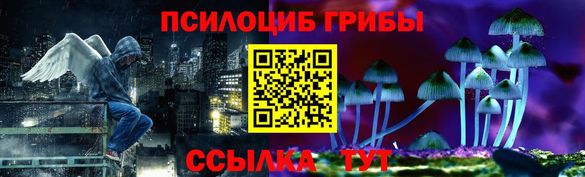 Псилоцибиновые грибы MAGIC MUSHROOMS  что такое   Печора  Вход с VPN  Галлюциногенные грибы Psilocybe 